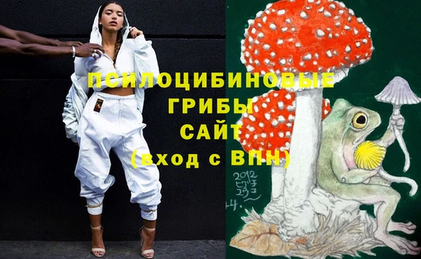 не бодяженный Беломорск