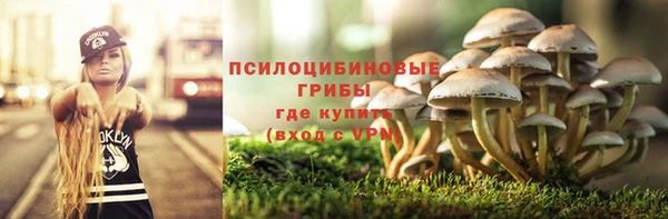 дурь Белоозёрский