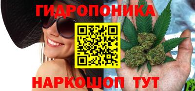 дживик Аргун