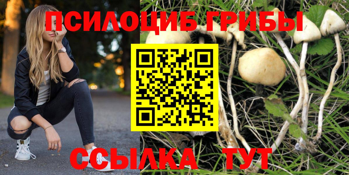 Галлюциногенные грибы Cubensis Верхний Уфалей