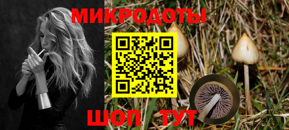 Псилоцибиновые грибы Psilocybine cubensis  Верхний Уфалей 